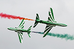 Saudi Hawks